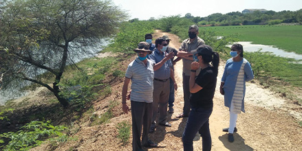 Wetland conservation impact